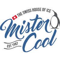 mister cool ag logo image