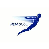 hsm global - aerospace logistics logo image