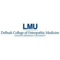 lmu-dcom logo image