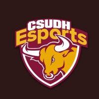 esports csudh logo image