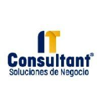 it consultant logo image