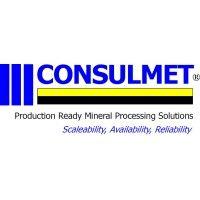 consulmet  (pty) ltd