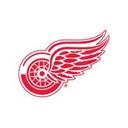 logo of Detroit Red Wings