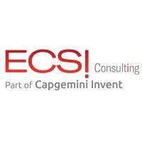 ecsi consulting logo image