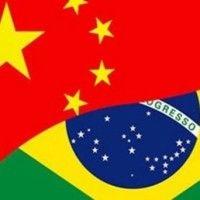 brazil china tech network - bctn logo image