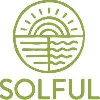 solful logo image