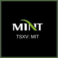 the mint corporation logo image