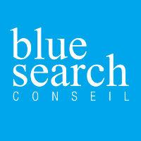 blue search conseil logo image