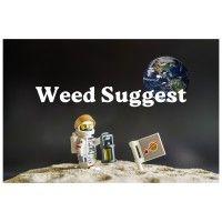 weed suggest logo image