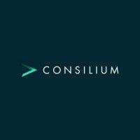 consilium insurance brokers logo image