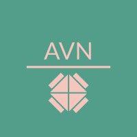 avn global logo image