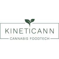 kineticann logo image