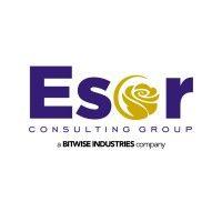 esor consulting group