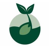 cool springs montessori logo image