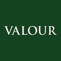 valour group logo image