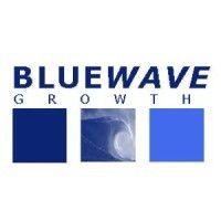 bluewavegrowth logo image