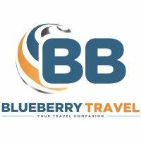 blueberry travel logo image