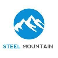 steel mountain systems corp (acquired by avast) logo image