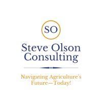 steve olson consulting, llc logo image