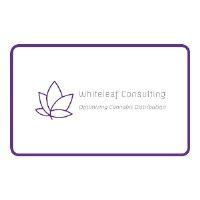 whiteleaf consulting, ltd. logo image