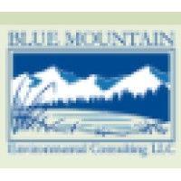 blue mountain environmental consulting logo image