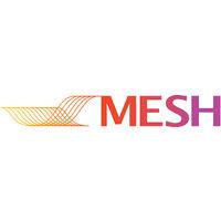 mesh engineering & software co. logo image