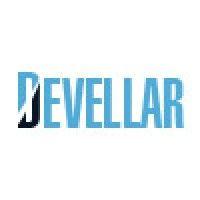 devellar logo image