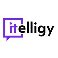 itelligy - digital experts gmbh & co. kg