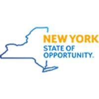 the state of new york logo image