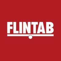 flintab ab logo image