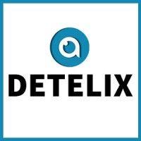 detelix software technologies ltd logo image