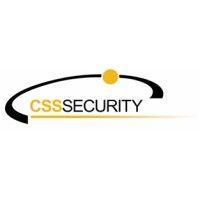 css security