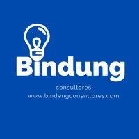 bindung consultores