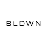 bldwn logo image