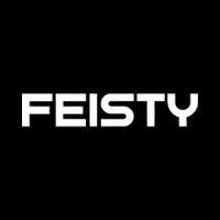 feisty agency logo image