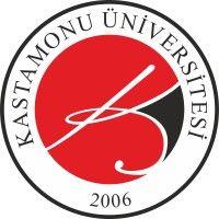 kastamonu university