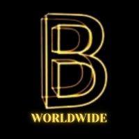 bid worldwide logo image