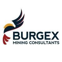 burgex mining consultants logo image