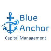 blue anchor capital managment logo image