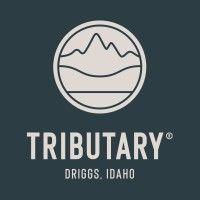 tributary logo image