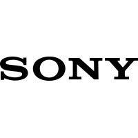 sony electronics vietnam ltd logo image