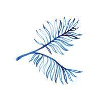 two bunch palms logo image