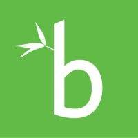 bamboo growth consulting logo image