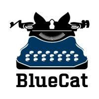 bluecat screenplay competition logo image