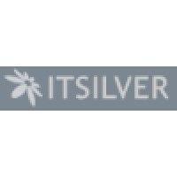 itsilver logo image