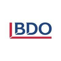 bdo türkiye logo image