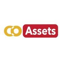 coassets international pte ltd logo image