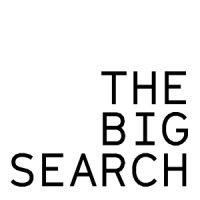 the big search logo image