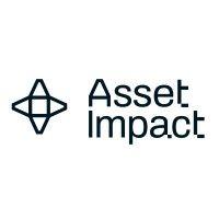 asset impact logo image