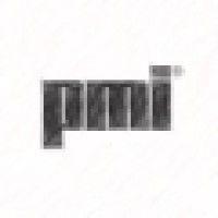 pmi new media logo image